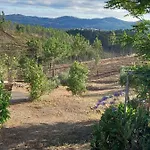 Vale De Garcia Al 5357