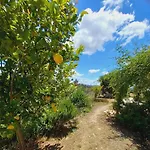 Holiday home Vale De Garcia Al 5357 Colos (Santarem)
