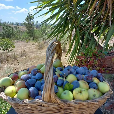 Tatil Evi Vale De Garcia Al 5357