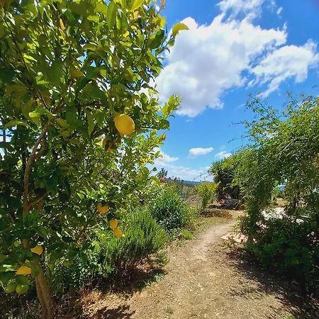 Feriehus Vale De Garcia Al 5357 Colos (Santarem)