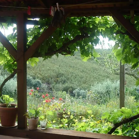 Vale De Garcia Al 5357