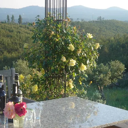 Vale De Garcia Al 5357