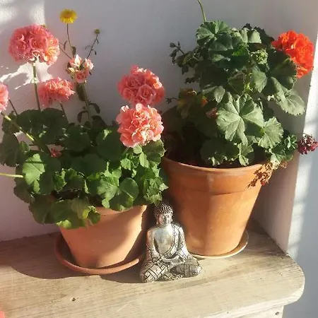 Vale De Garcia Al 5357 Tatil Evi