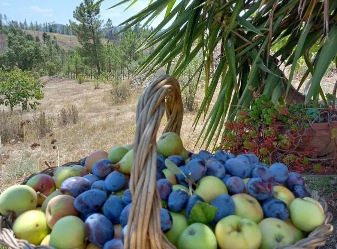 Casa de Férias Vale De Garcia Al 5357