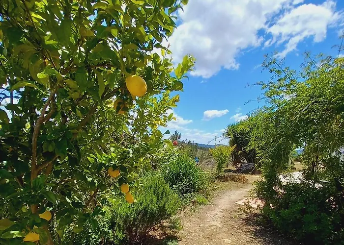 度假居 Vale De Garcia Al 5357 Colos (Santarem)