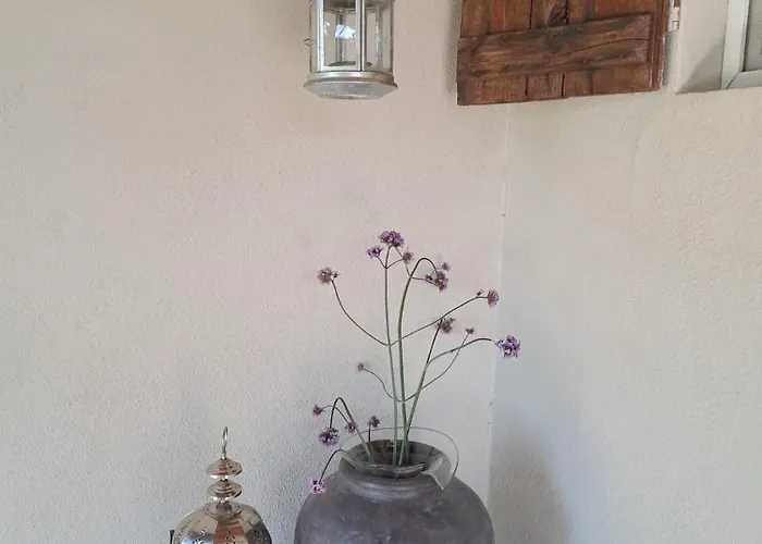 度假居 Vale De Garcia Al 5357 Colos (Santarem)