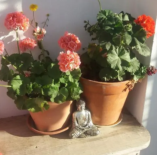 Vale De Garcia Al 5357 בית נופש